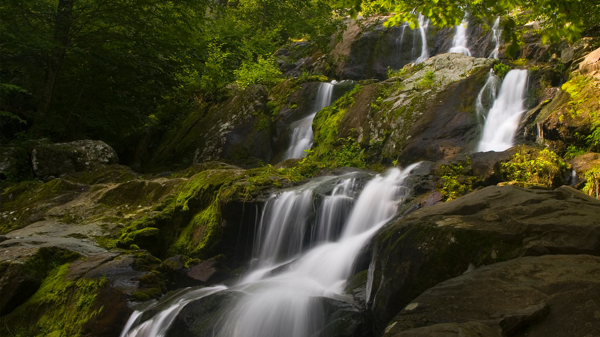waterfall in virginia