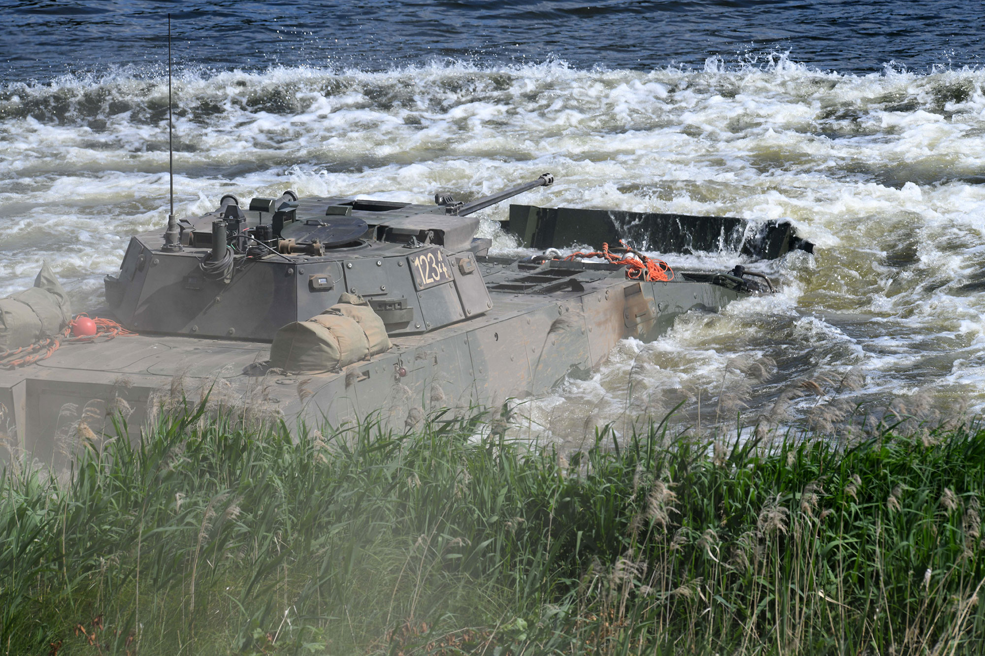 Rosomak in water