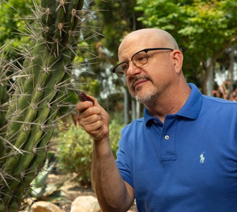 Man closely examines cactus outdoors. 