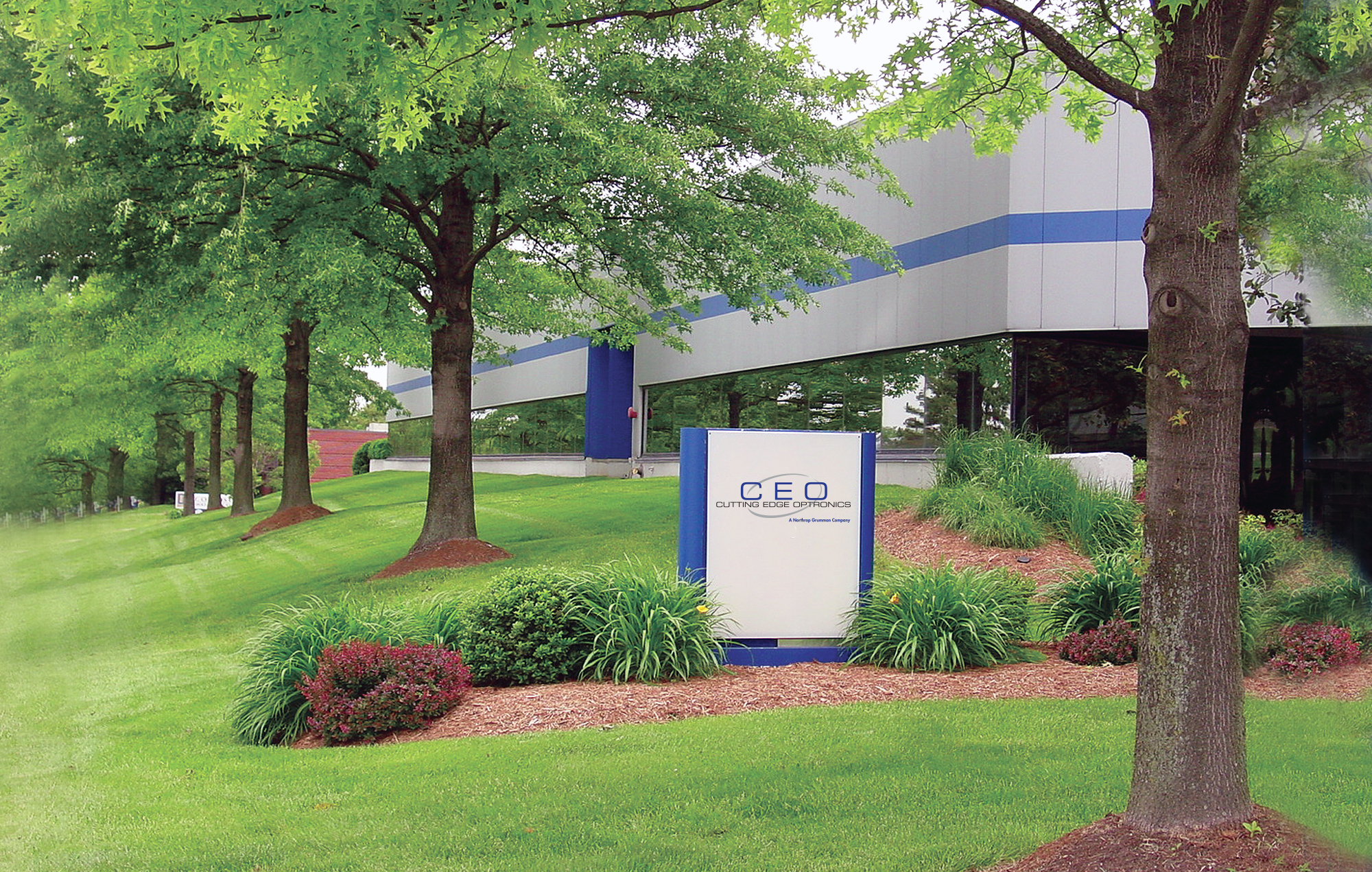 trees and green grass in front of building