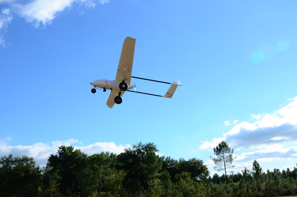 Plane flying above trees