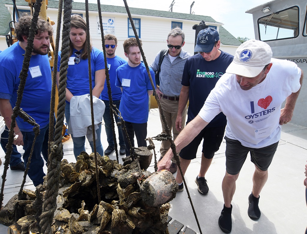 Employees gather around oysters