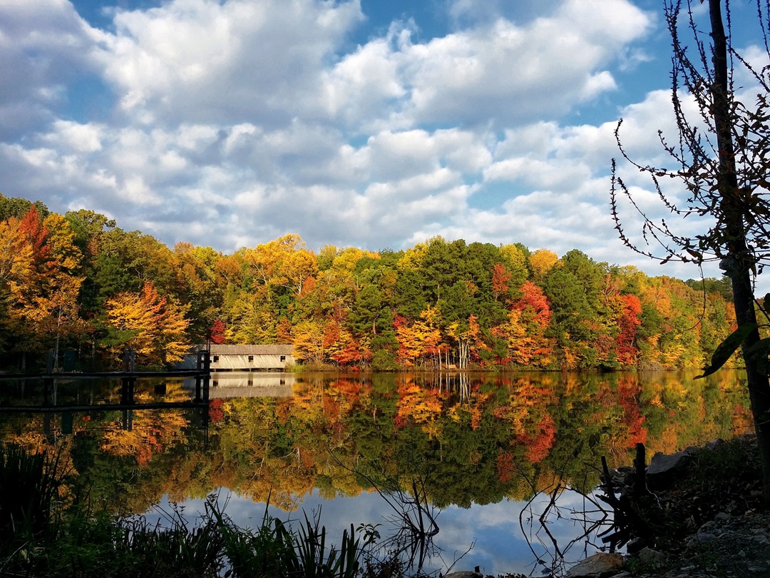 Nature preserve