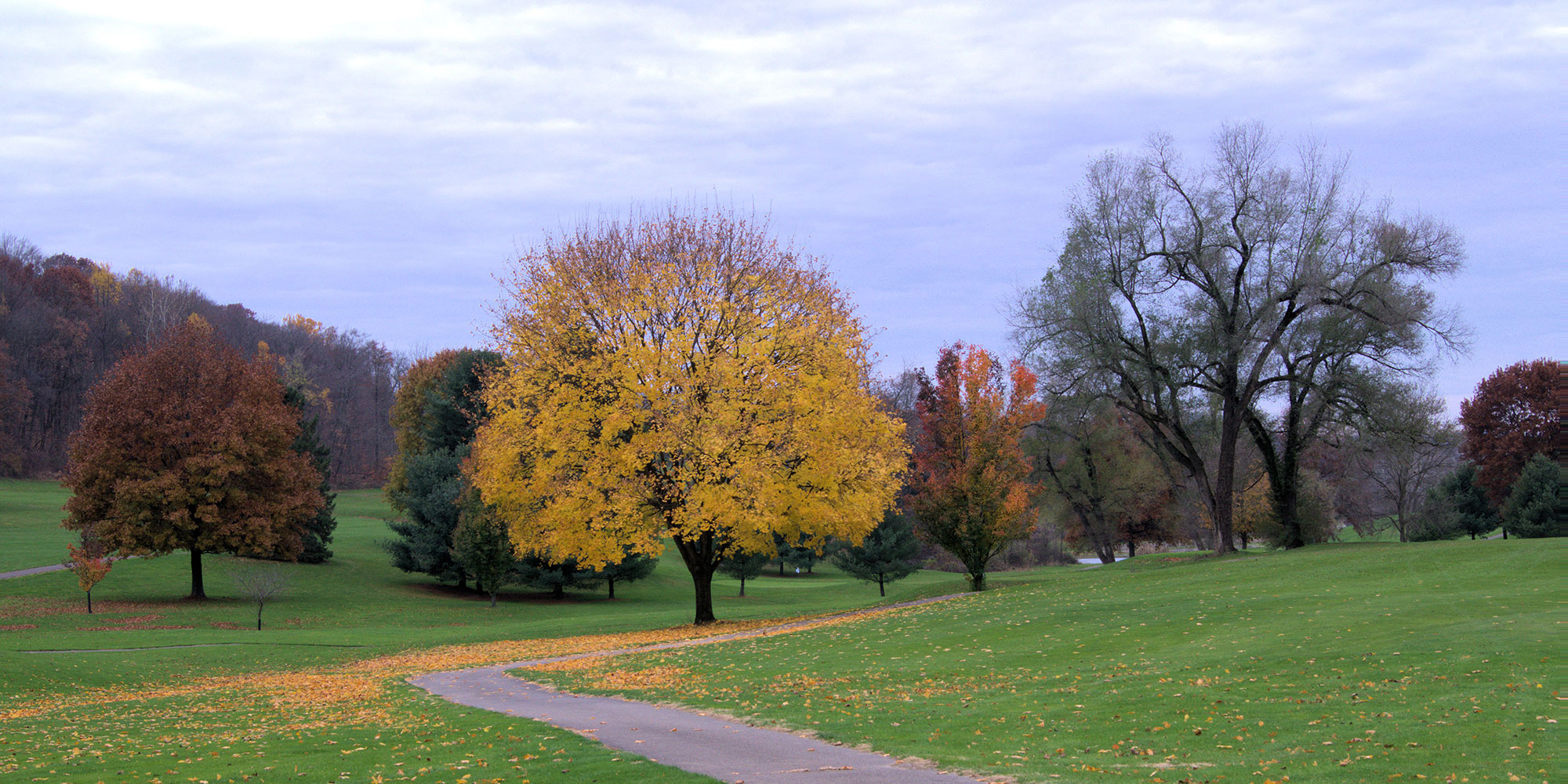 Golf Course during Autumn