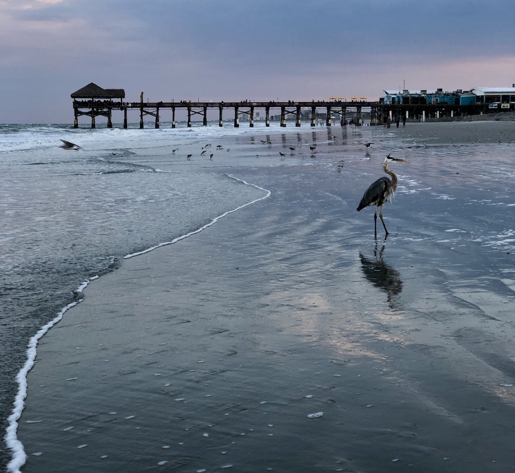 Beach and pier landscape