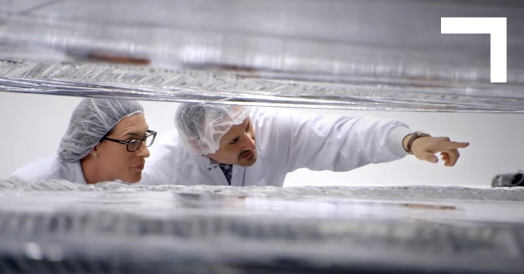 an employee wearing glasses and an employee pointing both wearing white coats