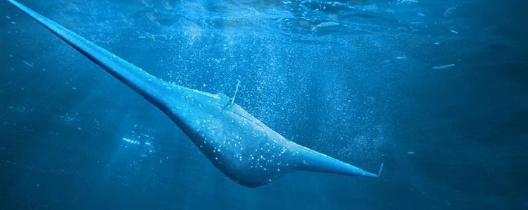 Artist’s concept of Northrop Grumman’s unmanned underwater vehicle, Manta Ray