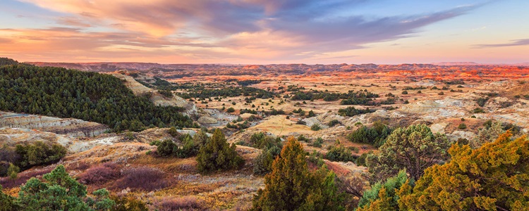 Desert at sunset