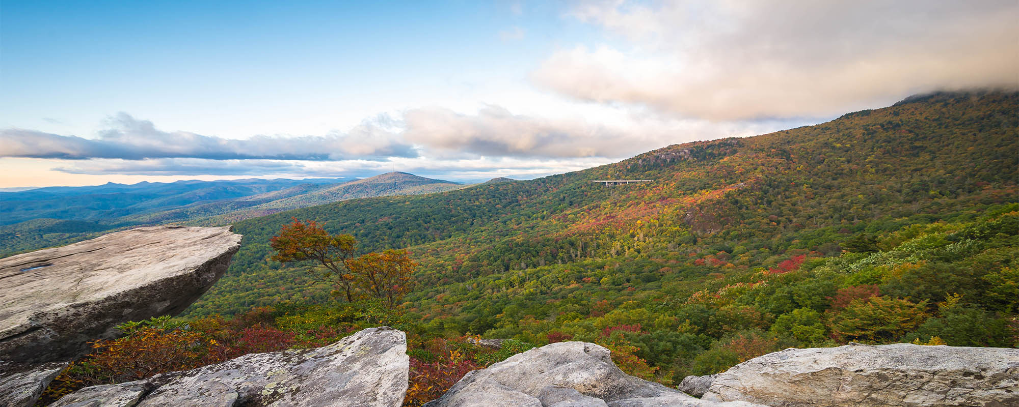 Overlook of tree covered mountains