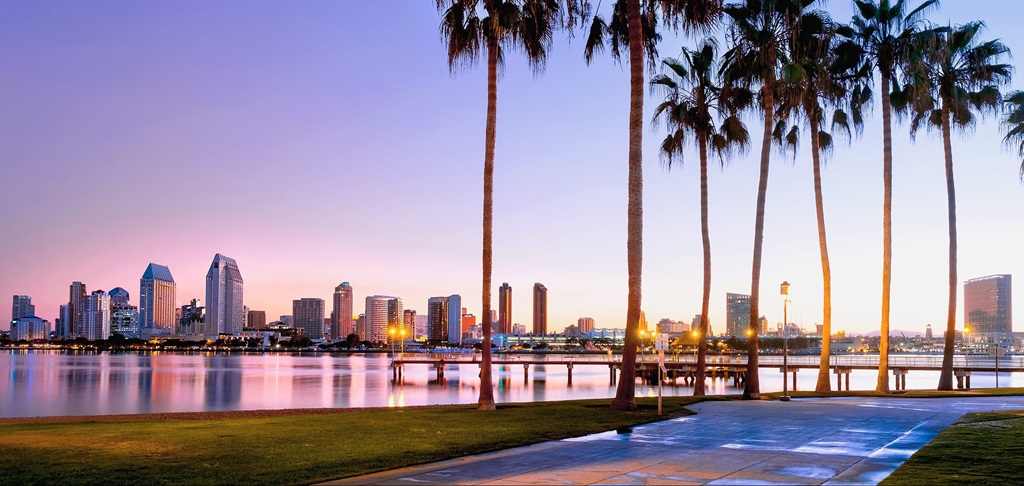 Cityscape with palm trees