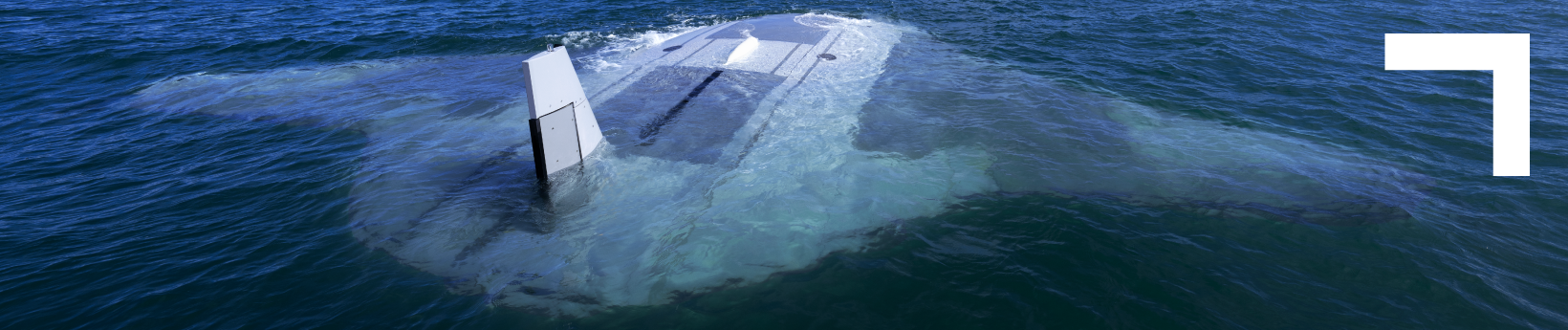 Manta Ray
