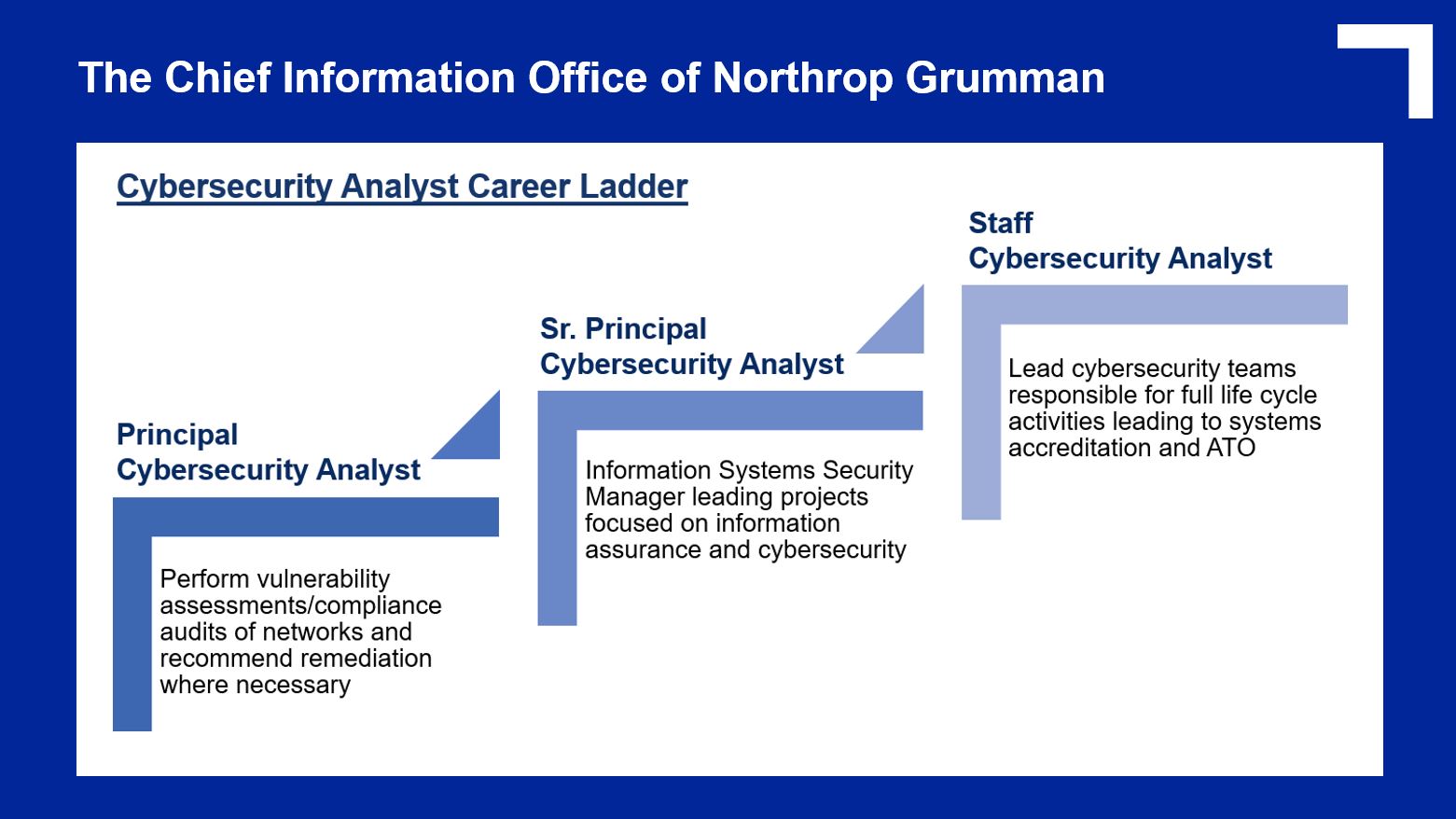 Cyber Career Ladder