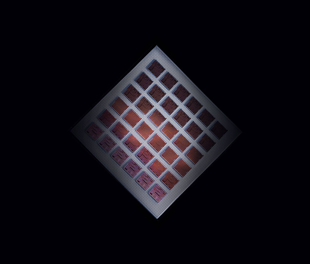 What We Do in Apopka