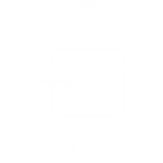 secure icon