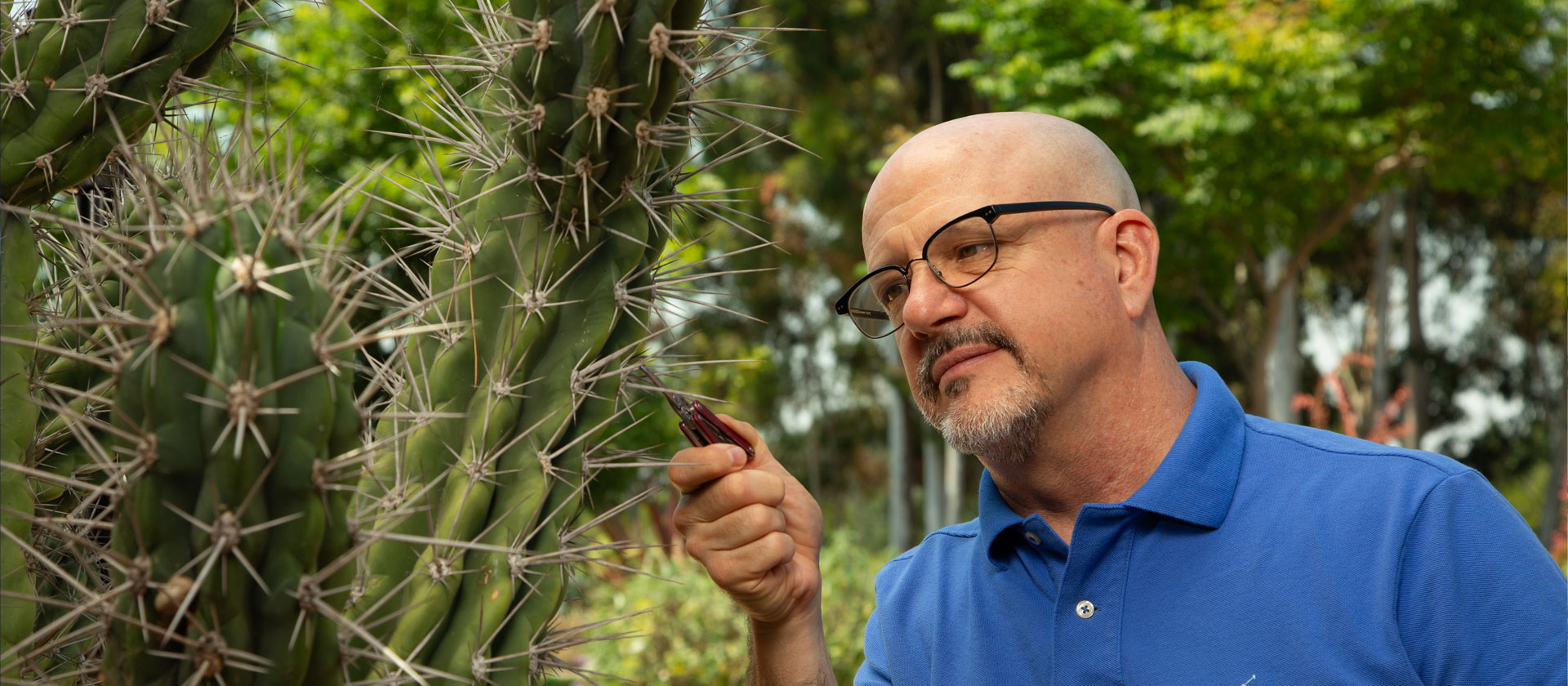 Man closely examines cactus outdoors.