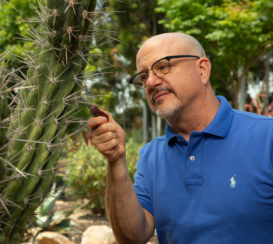 Prickly Progress