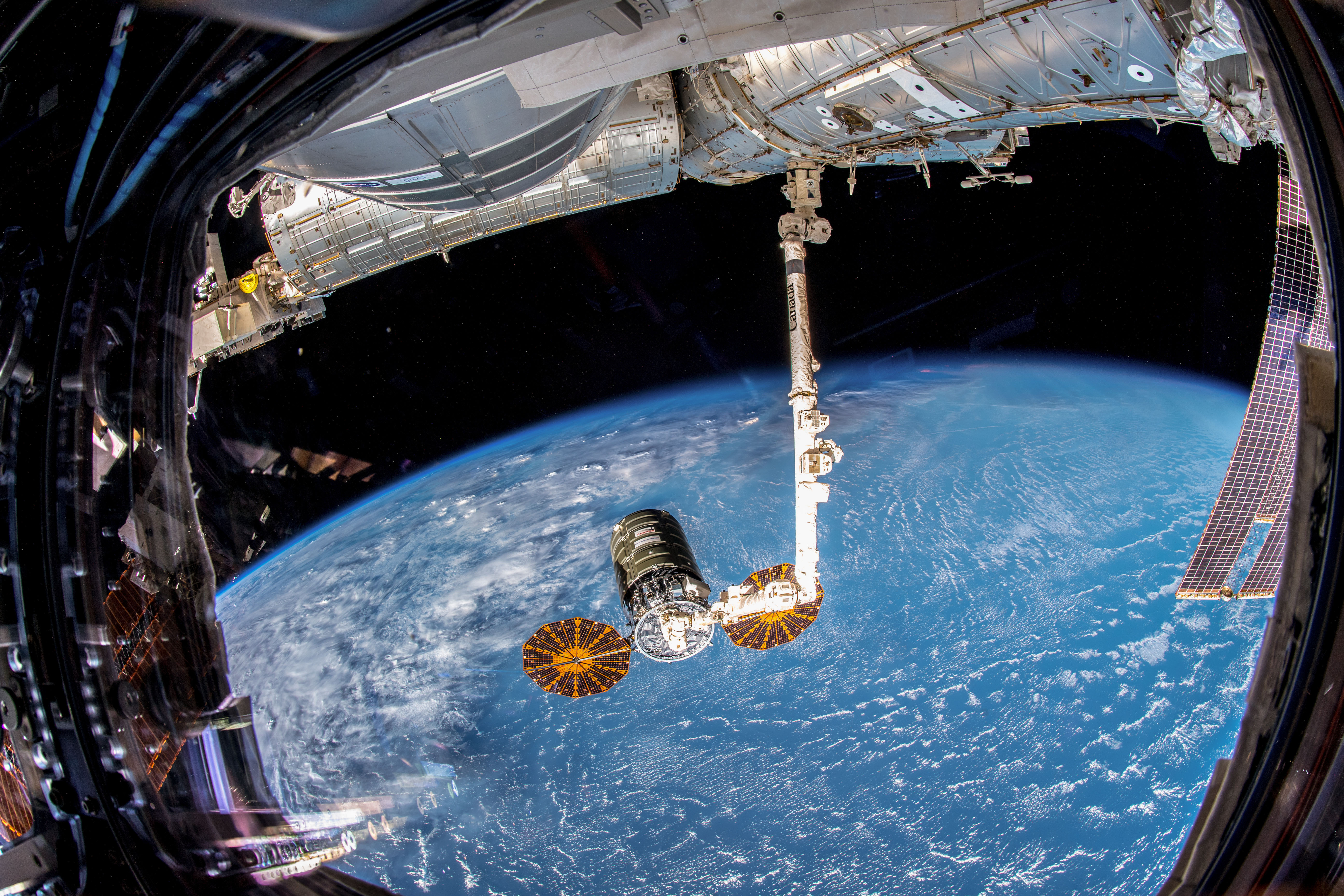 Northrop Grumman Cygnus spacecraft at International Space Station Space
