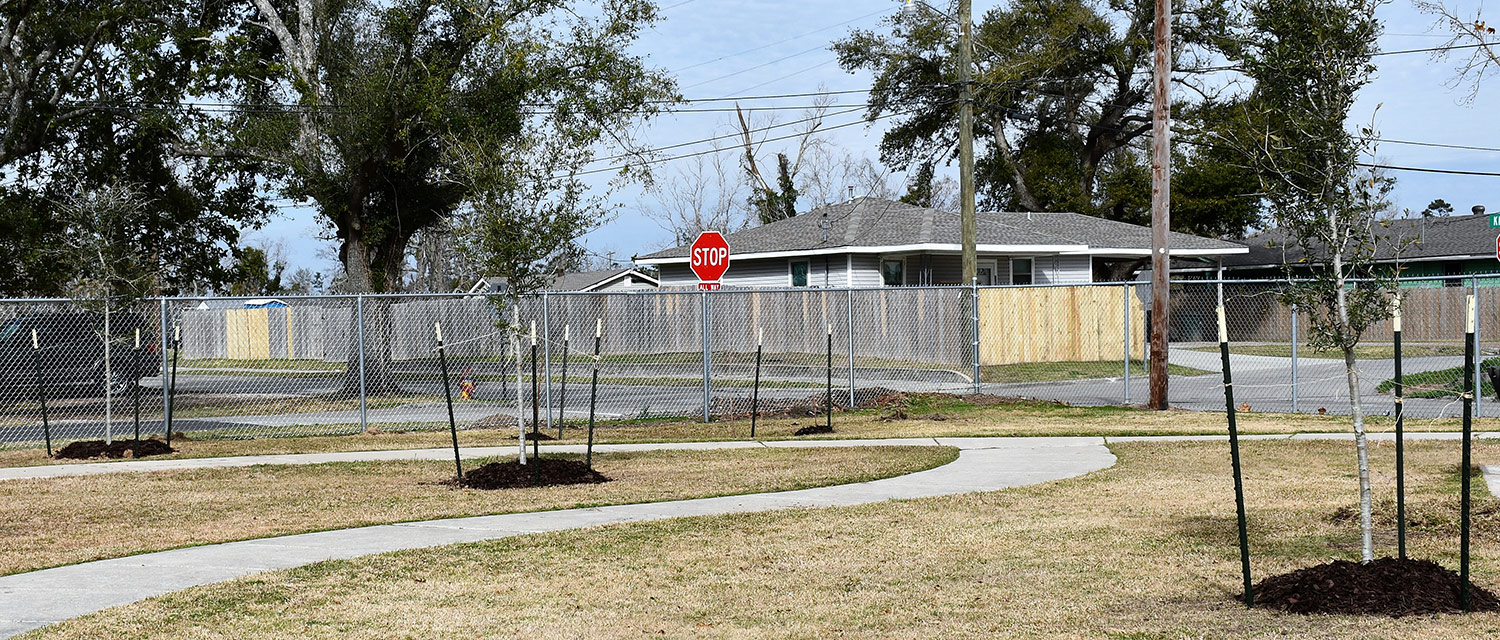 Tree Planting in Popular Park Aids Hurricane Recovery in Lake Charles Lake Charles Tree Planting