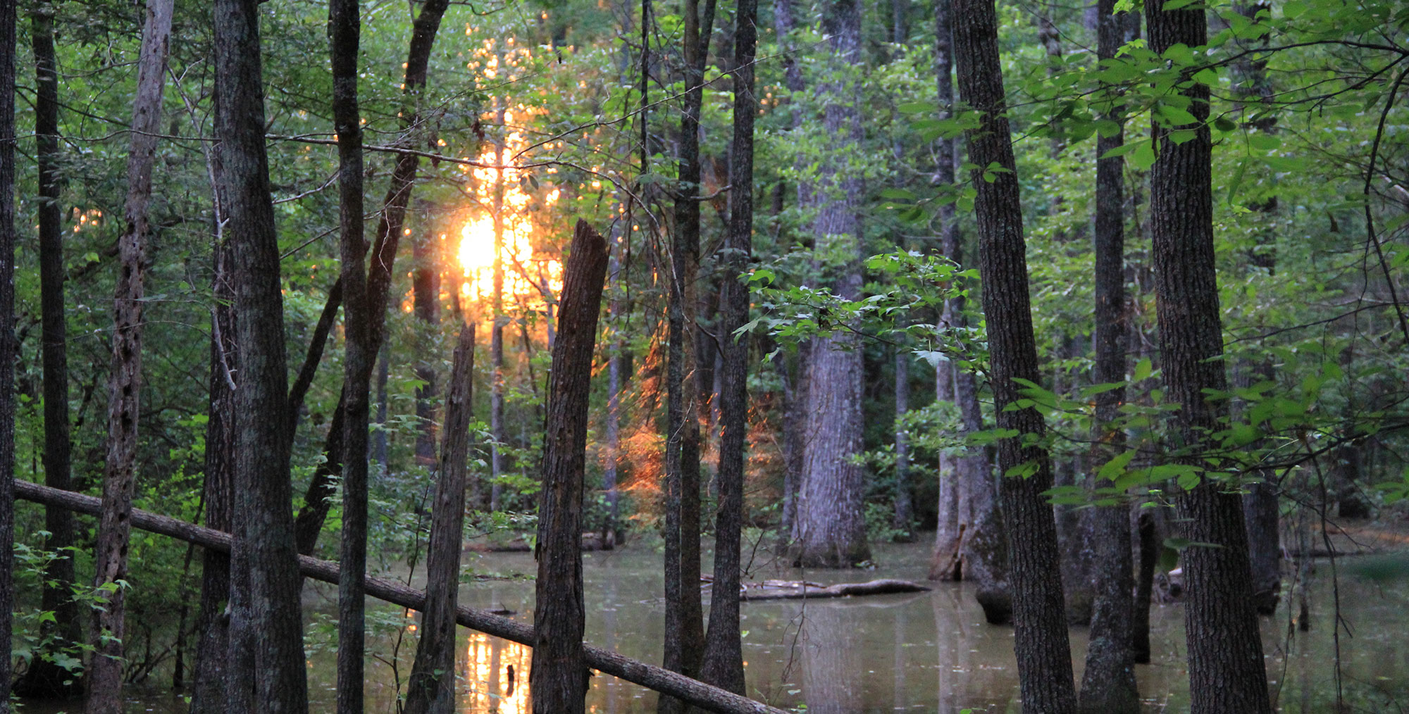 WarnerRobinsGA Georgia