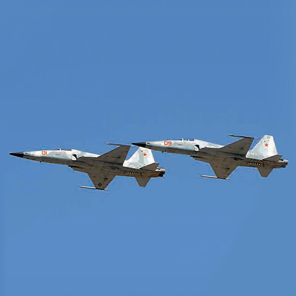 F-5 tile F-5 Tiger Fighter Jet