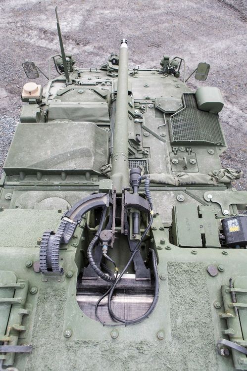 Northrop Grumman to Supply XM813 Bushmaster® Chain Guns® for US Army Strykers Northrop Grumman to Supply XM813 Bushmaster® Chain Guns® for US Army Strykers
